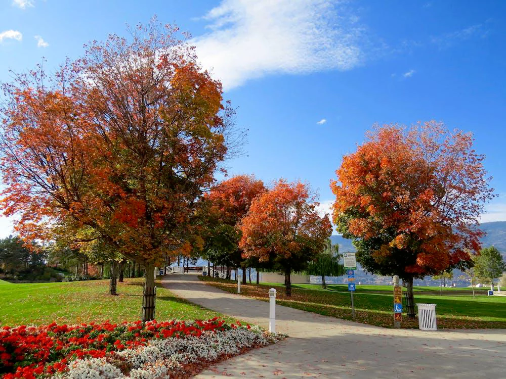 Choosing the Right Fall Bulbs for Miller Place Gardens