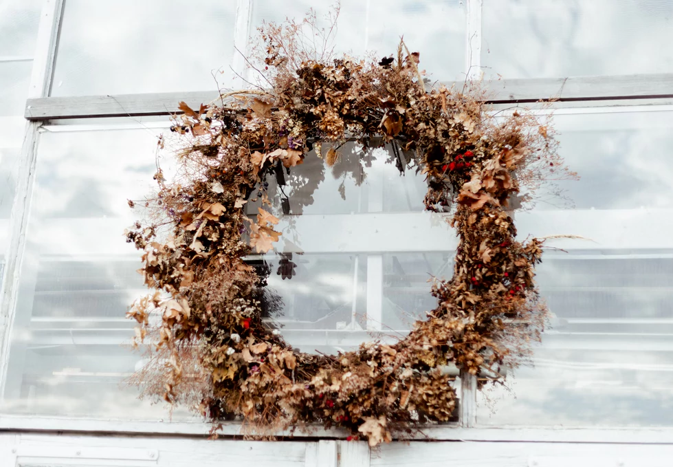 DIY Wreath Ideas: Creative Plants to Craft Stunning Décor