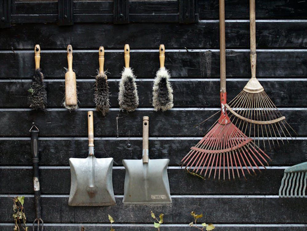 Essential Fall Gardening Supplies for Riverhead