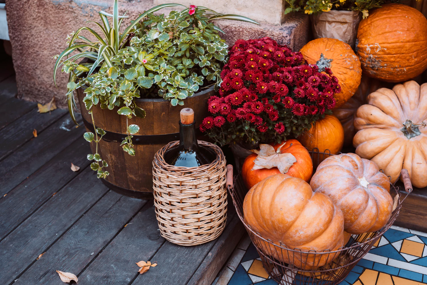 Fall Decorating with Live Plants – Tips from a Plant Expert Serving Riverhead
