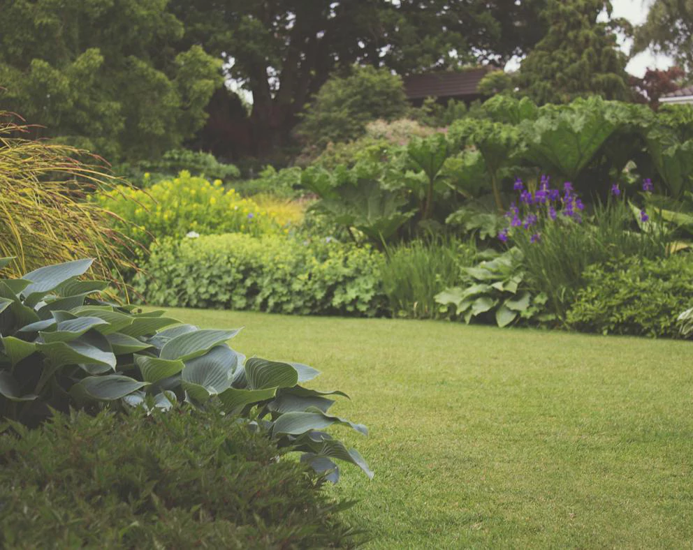 How a Garden Expert Serving Miller Place Can Simplify Your Fall Gardening