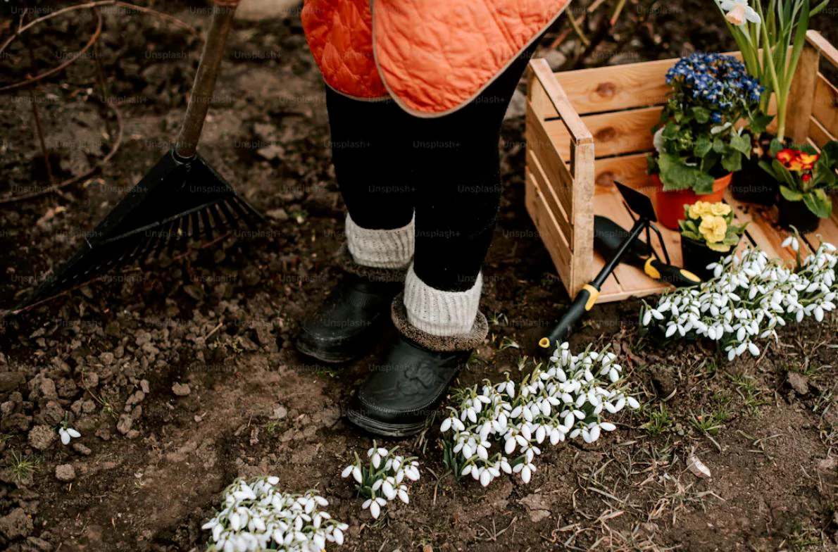 Mattituck Fall Gardening: Mistakes to Avoid