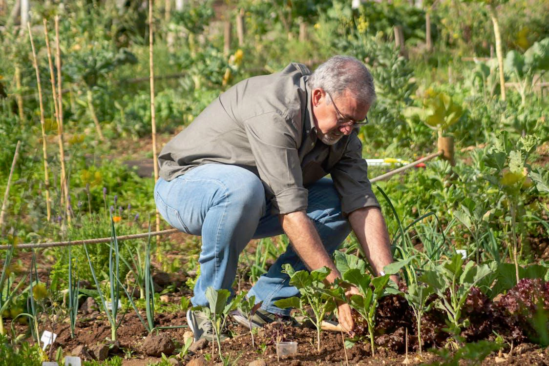 Plant Expert’s Fall Garden Checklist