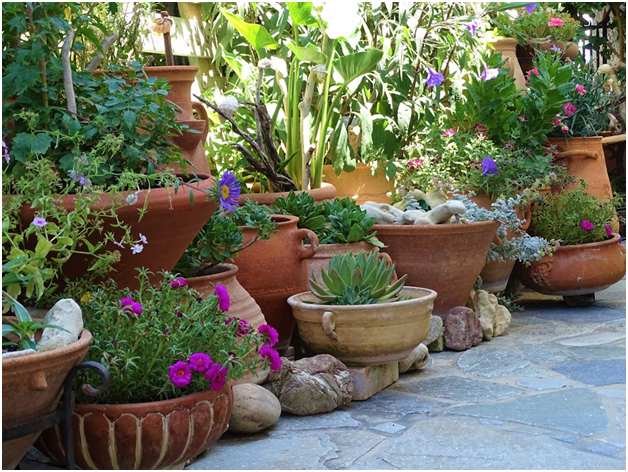 beautifully arranged garden with layered plants and decorative elements