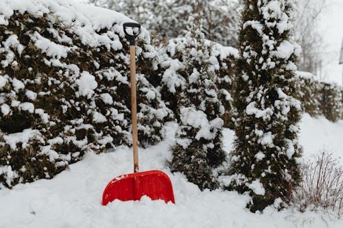 Winter Gardening Made Simple: Tips from Miller Place Experts