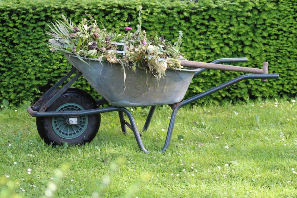 An image of a wheelbarrow filled with dead leaves and twigs