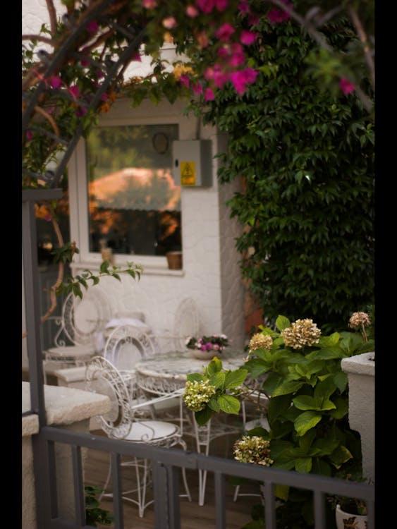 A cozy patio with outdoor seating surrounded by plants and flowers