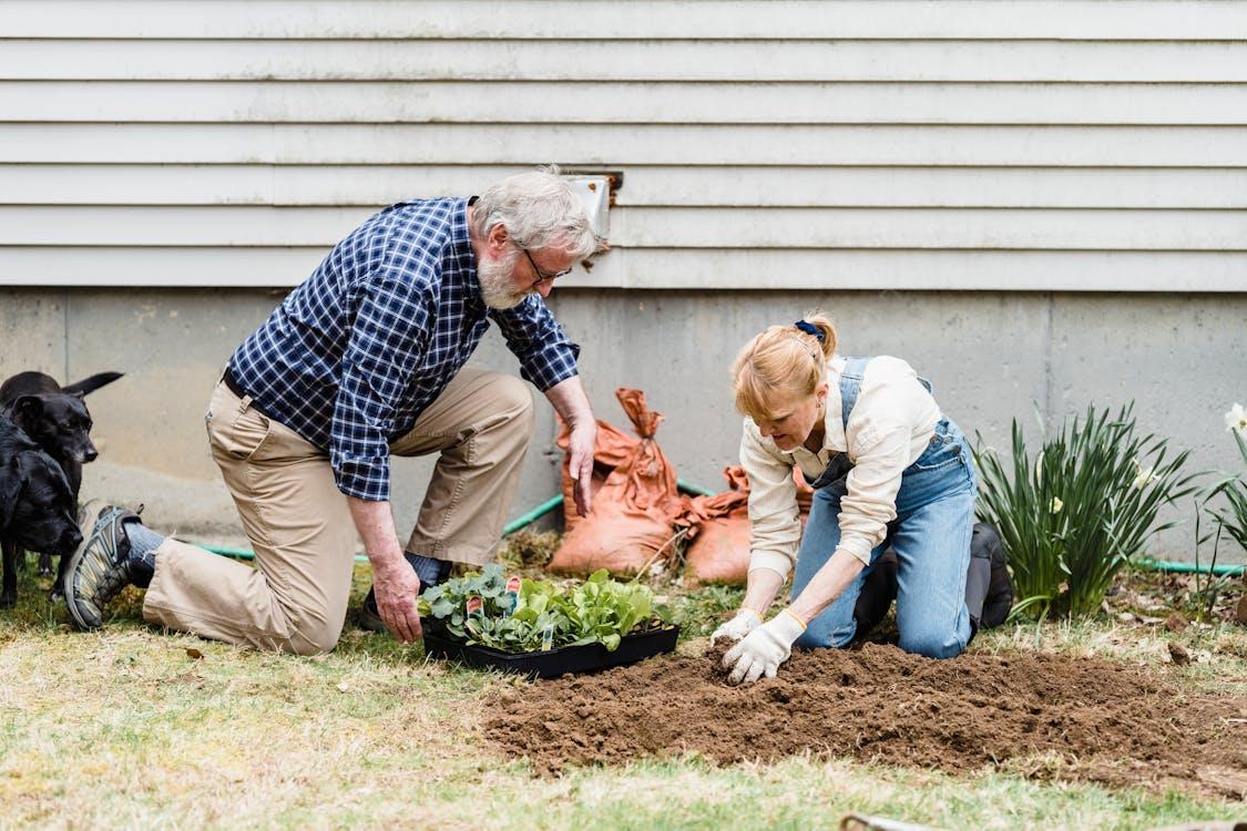From Frost to Flowers: Early Spring Prep You Can Start in Winter