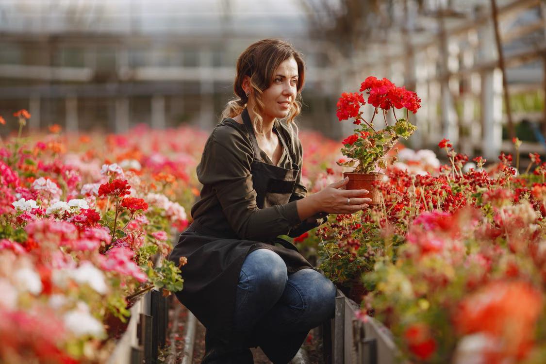 A gardener kneeling beside a flower bed inspecting perennial plants