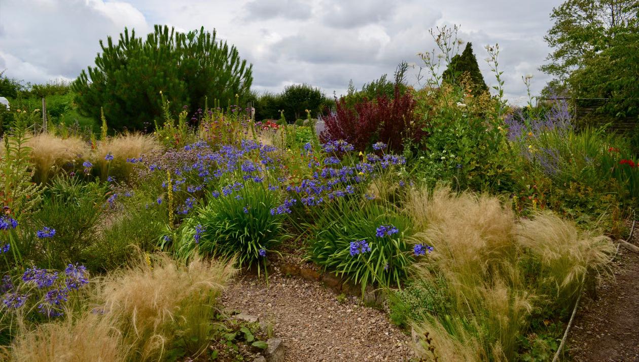 A layered garden bed combining grasses, perennials, and foliage plants