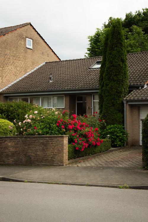 Flower bed planted along a warm, sun-facing driveway