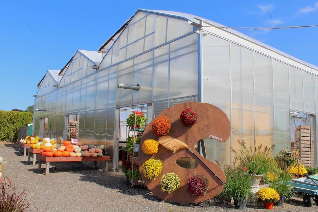 Fall greenhouse display