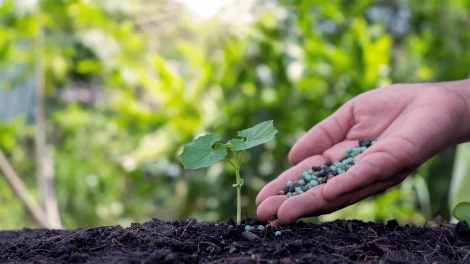 Soil amendment application