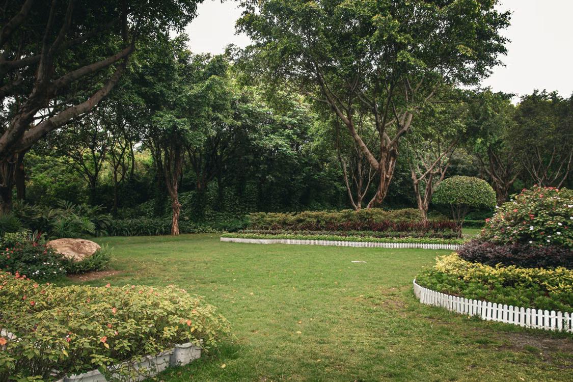 Layered garden bed with trees, shrubs, flowering plants, and groundcover