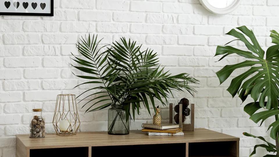Large green foliage plants