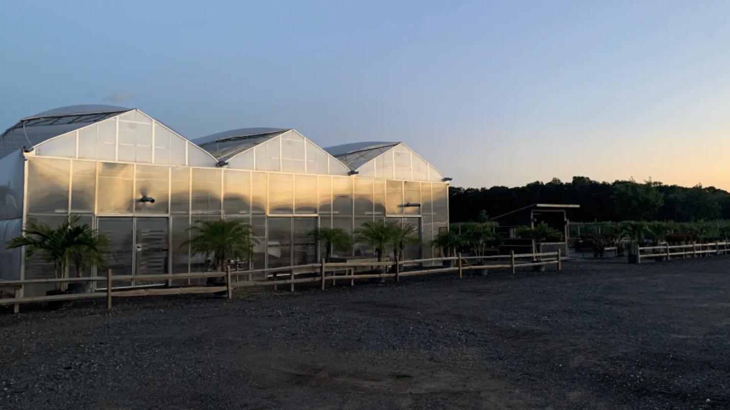 Riverhead greenhouse