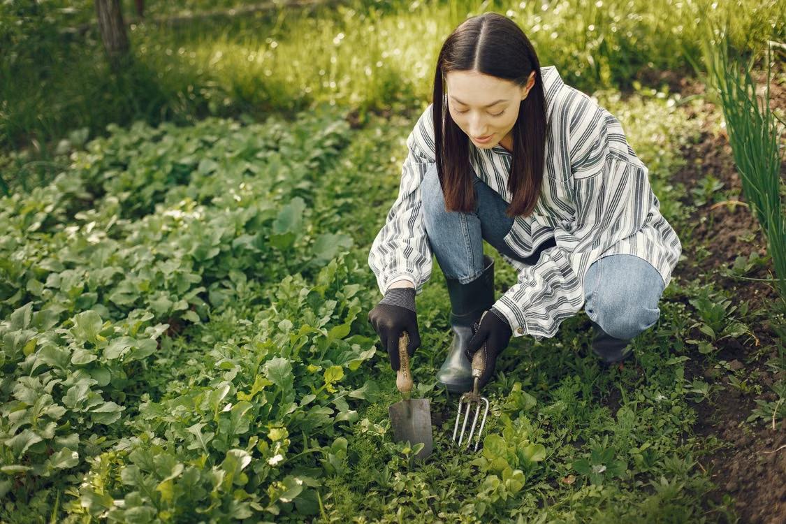 a woman gardening in her backyard