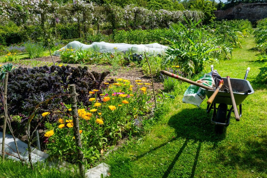 a colorful garden with gardening tools