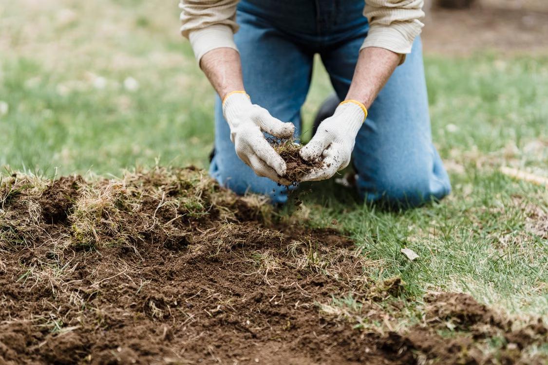 a gardener on grassy ground testing the soil