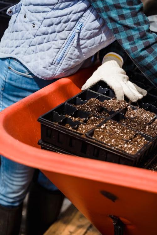 close-up of a gardener planting seeds
